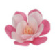 Fleurs comestibles en azyme FunCakes grande magnolia rose 6 cm 6 pièces