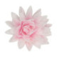 Fleurs comestibles en azyme FunCakes grande pivoine rose ombré 12,5 cm 1 pièce