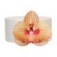 Fleurs comestibles en azyme FunCakes moyenne orchidée marron doré 8,5 cm 10 pièces
