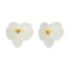 Fleurs comestibles en azyme FunCakes moyenne orchidée blanche 8,5 cm 10 pièces