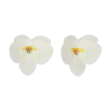 Fleurs comestibles en azyme FunCakes moyenne orchidée blanche 8,5 cm 10 pièces