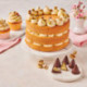 Pâte à tartiner FunCakes Pistache croustillante 250 g